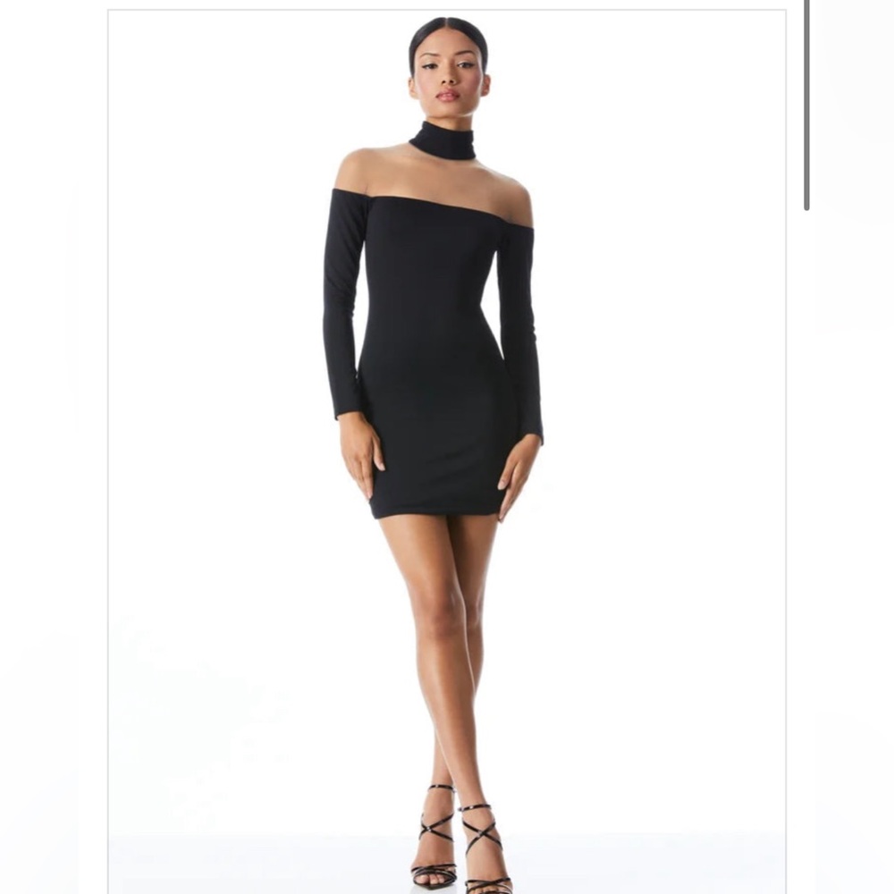 ALICE & OLIVIA ZAHRA SHEER TURTLENECK MINI DRESS NWT